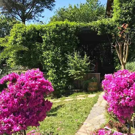 King House Sapanca Villa Sakarya