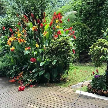King House Sapanca